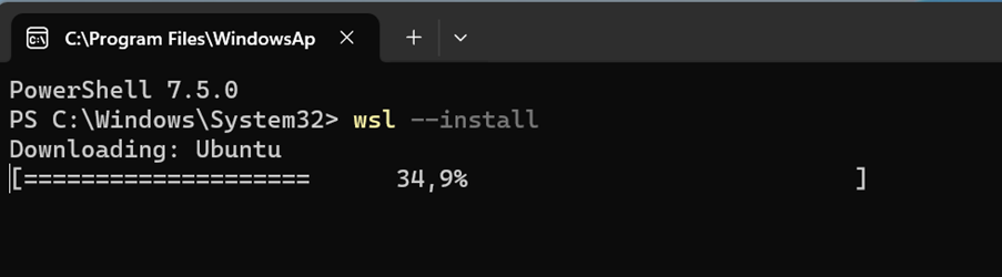 run-wsl.png